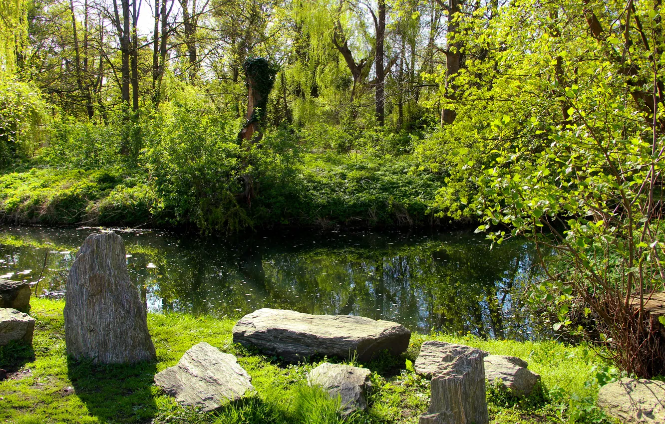 Фото обои trees, water, park, stones, spring, pond