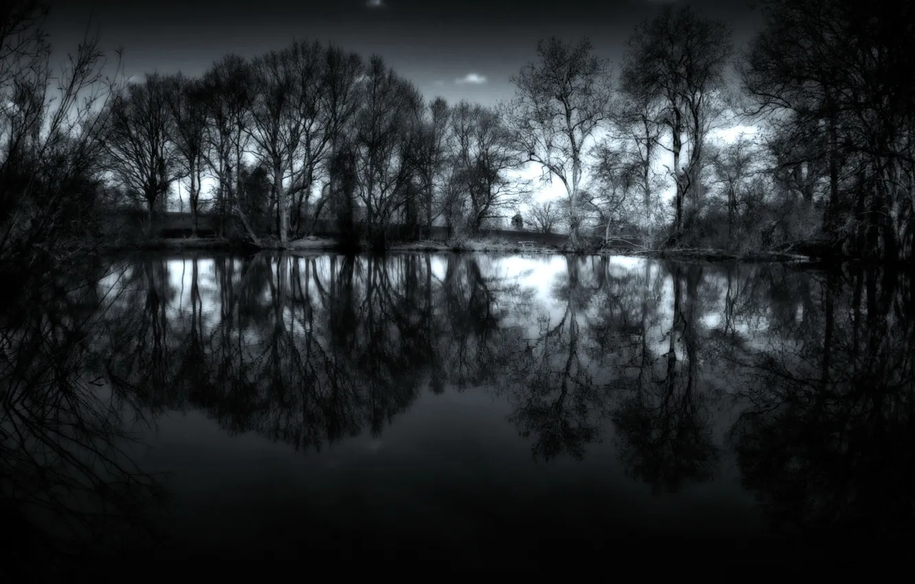 Фото обои вода, деревья, ночь, фото, пейзажи