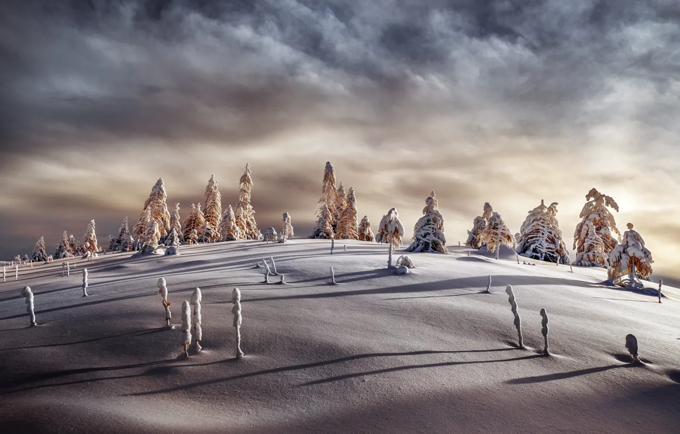 Фото обои зима, лес, небо, облака, свет, снег, полосы, в снегу
