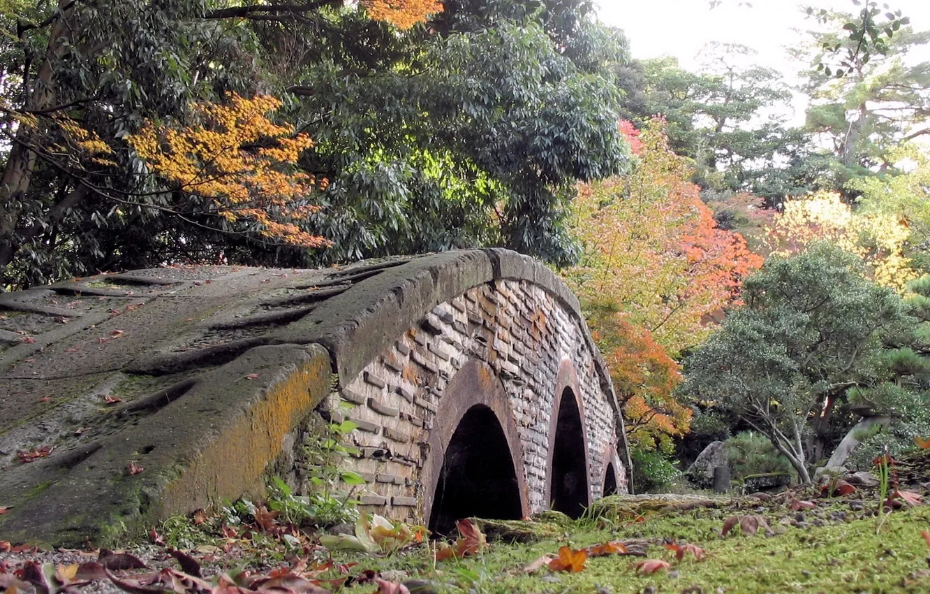 Фото обои деревья, мост, парк, листва, Осень