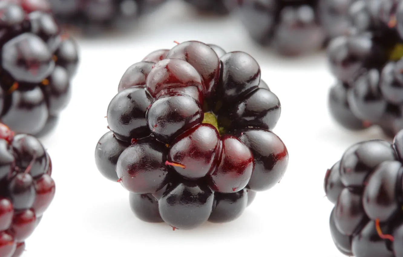 Фото обои ягоды, ежевика, аппетитно, blackberries