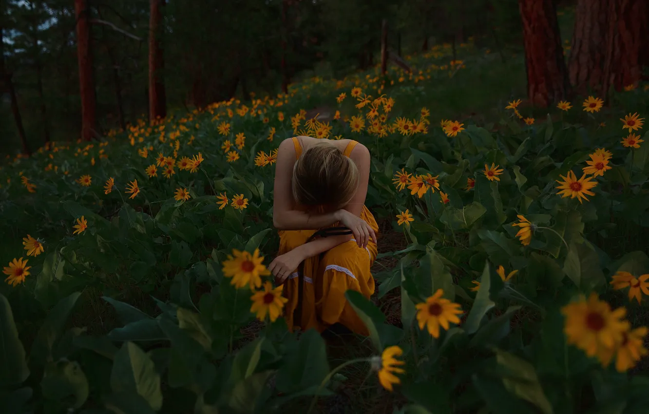 Фото обои лес, девушка, цветы, поза, настроение, меланхолия, Бальзамориза