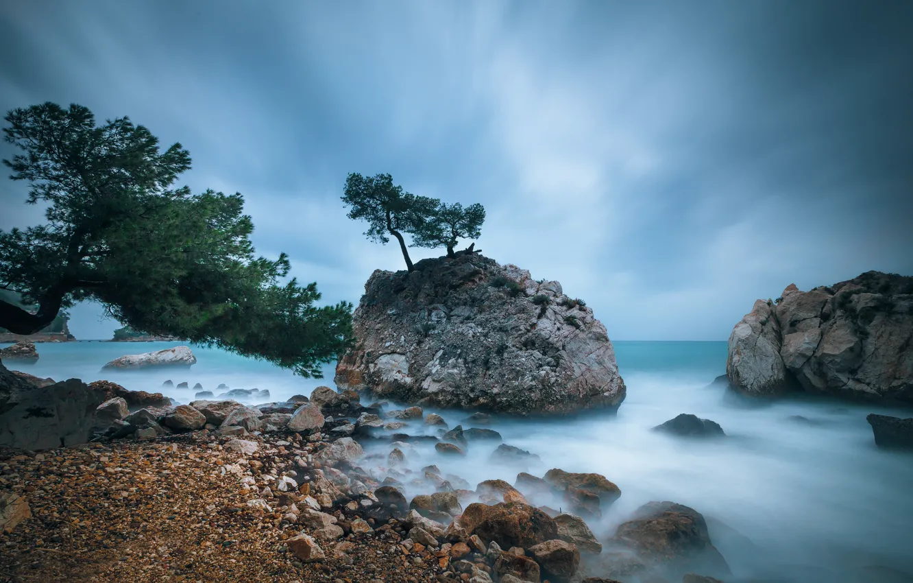 Фото обои море, пляж, деревья, камни, скалы
