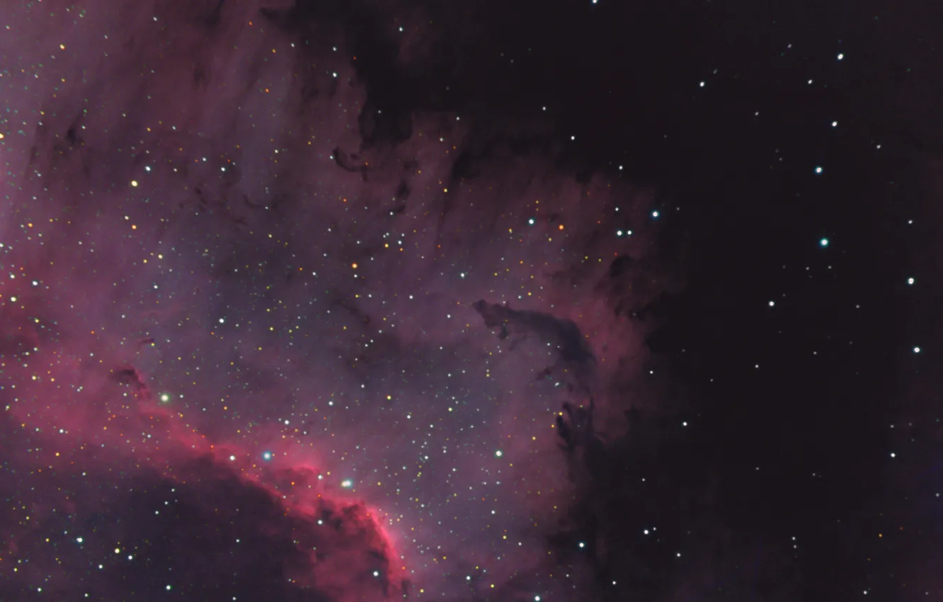 Фото обои туманность, Лебедь, Северная Америка, в созвездии, эмиссионная, NGC 7000