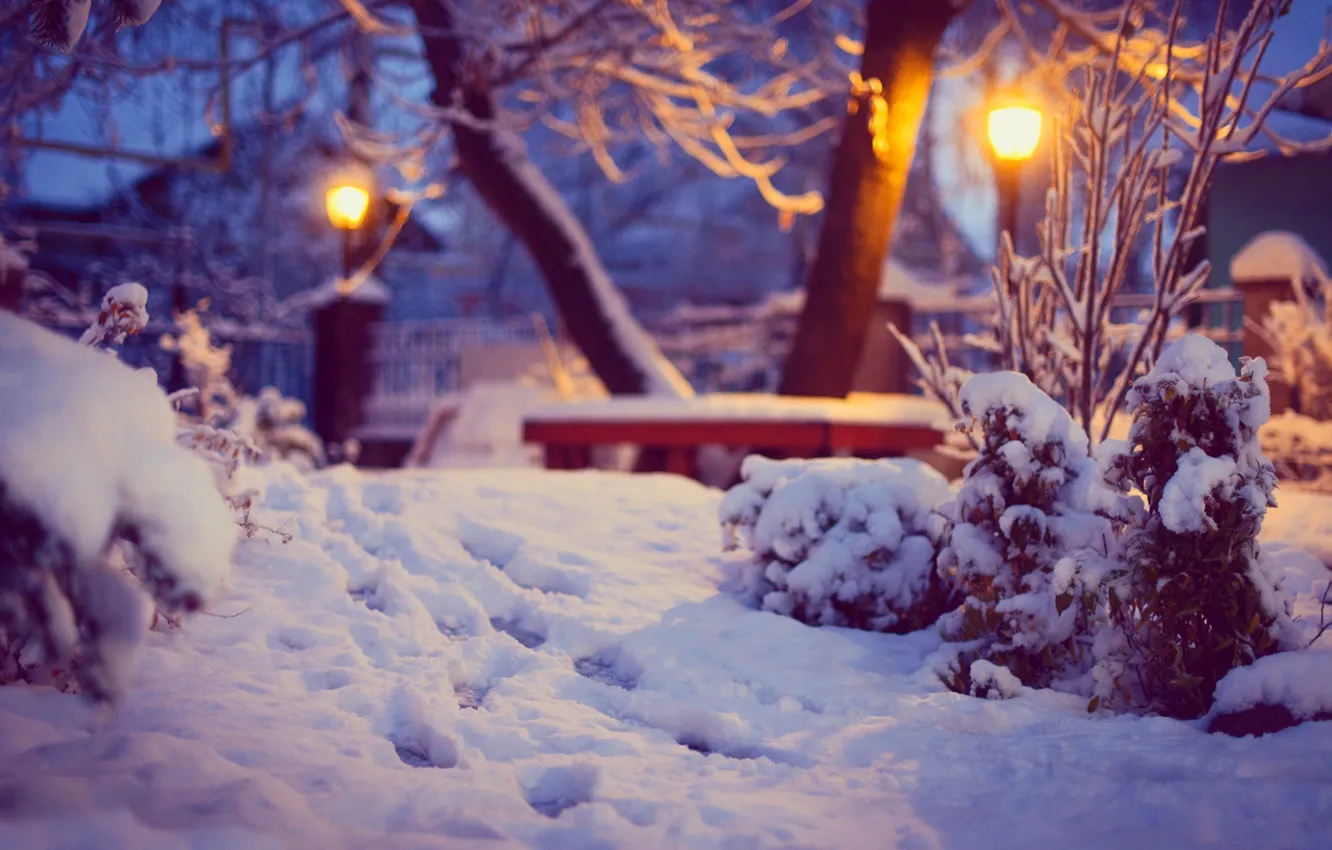 Фото обои зима, снег, деревья, следы, природа, освещение, двор, фонари