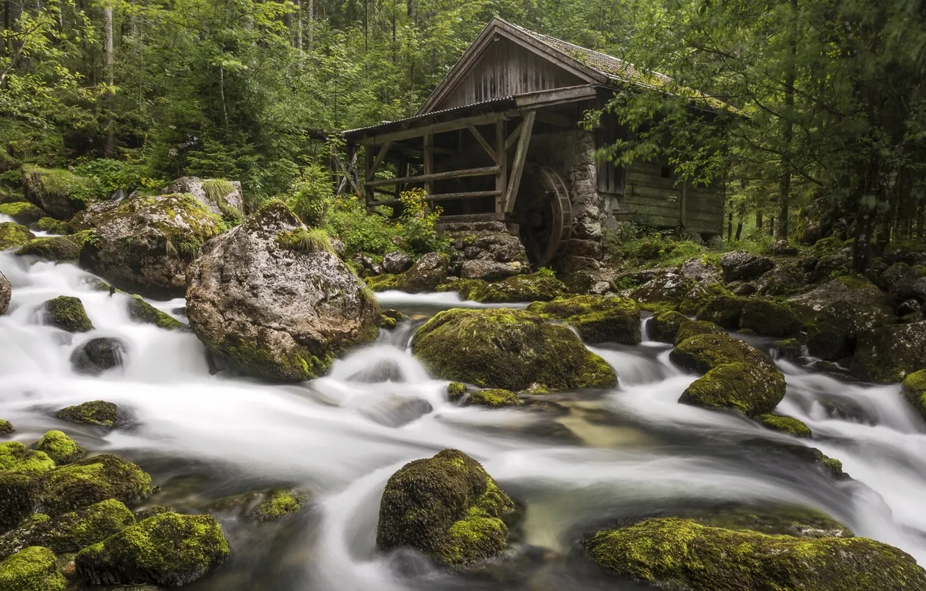 Фото обои лес, река, камни, мох, Австрия, мельница, Austria, Gollinger Mill