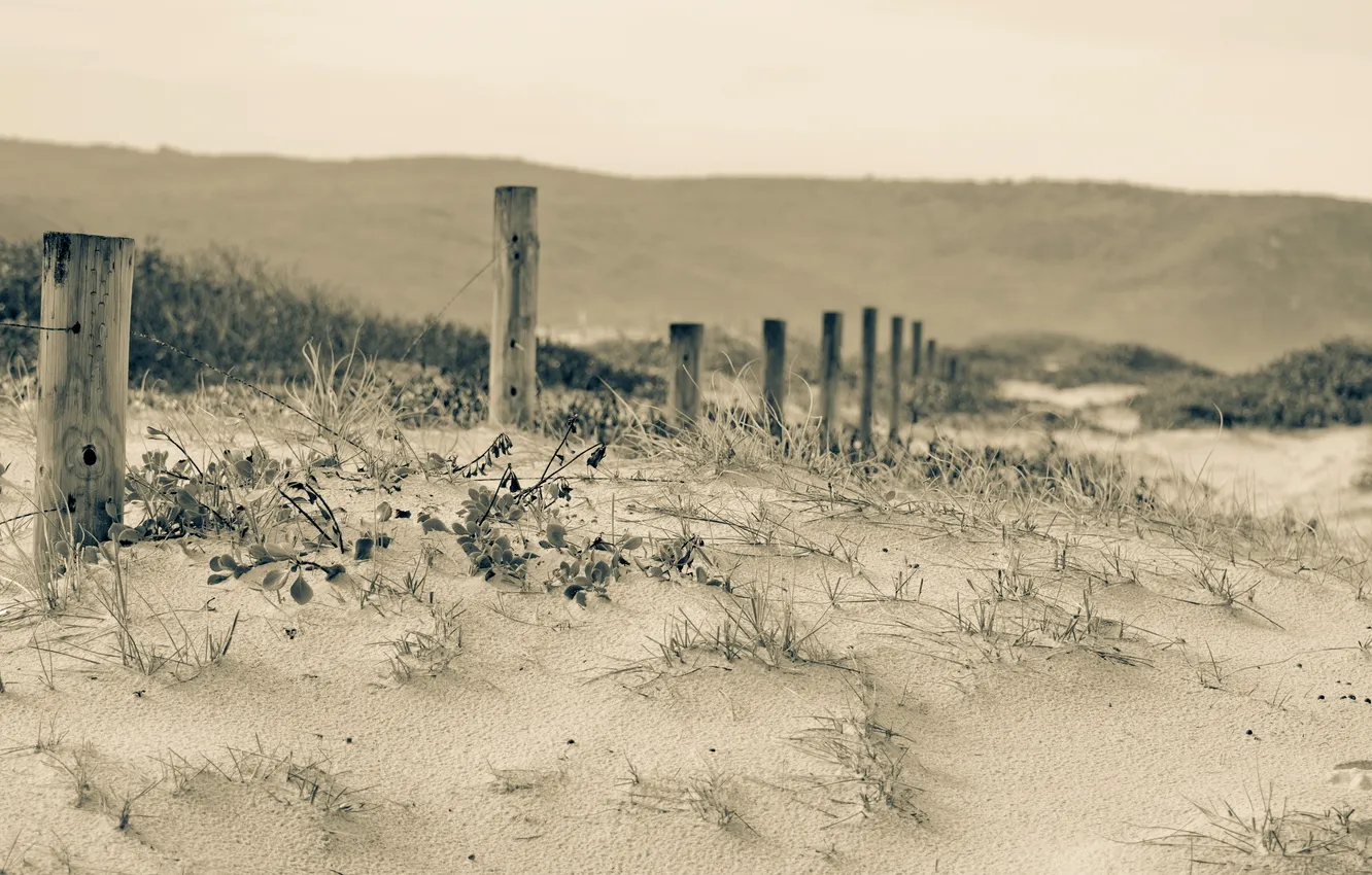 Фото обои природа, забор, дюны