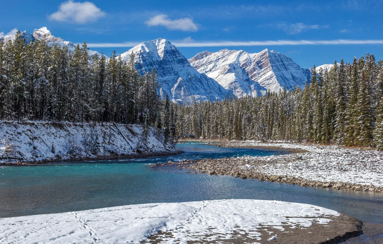 Фото обои зима, лес, снег, горы, река, Канада, Альберта, Banff National Park