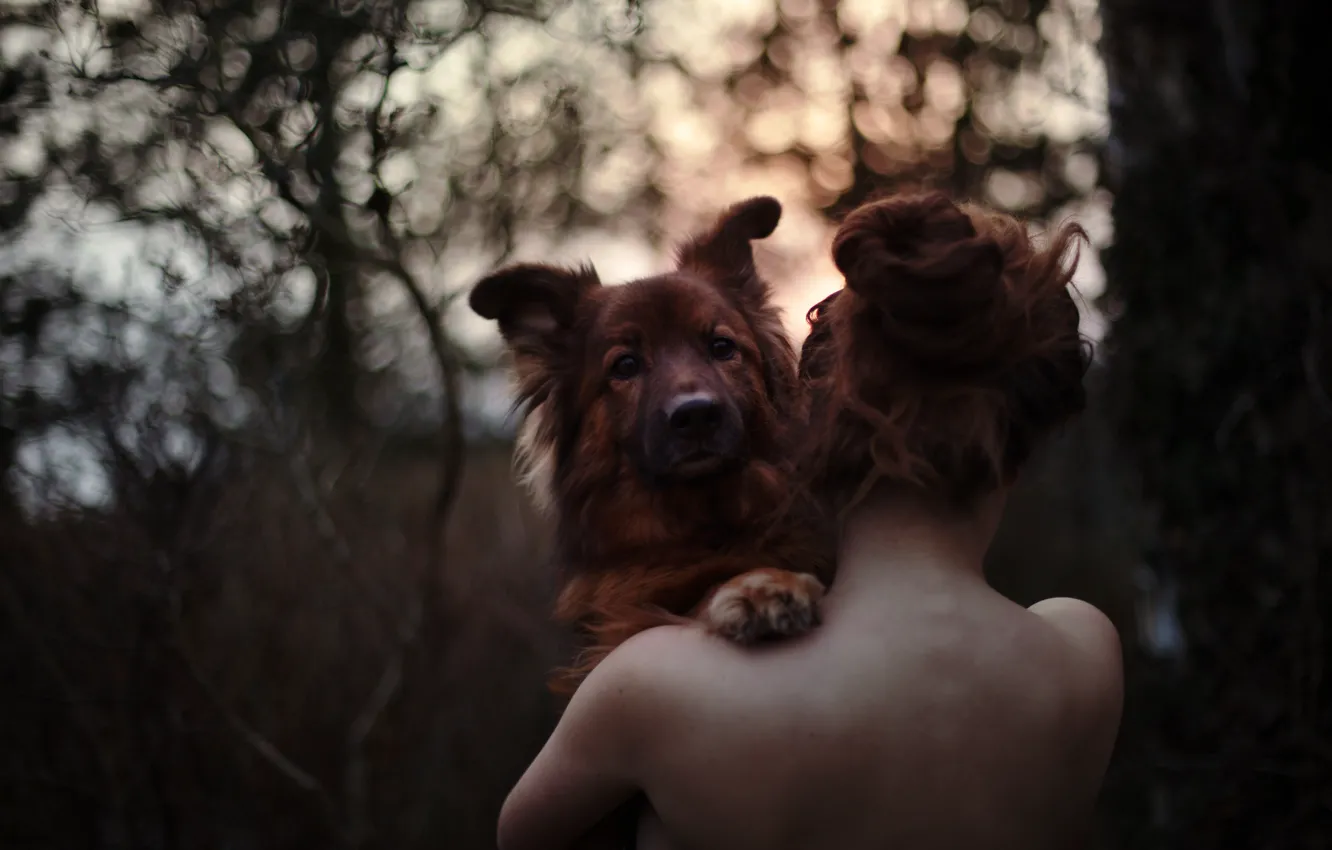 Фото обои girl, love, forest, dog, sundown, bokeh, hair, back
