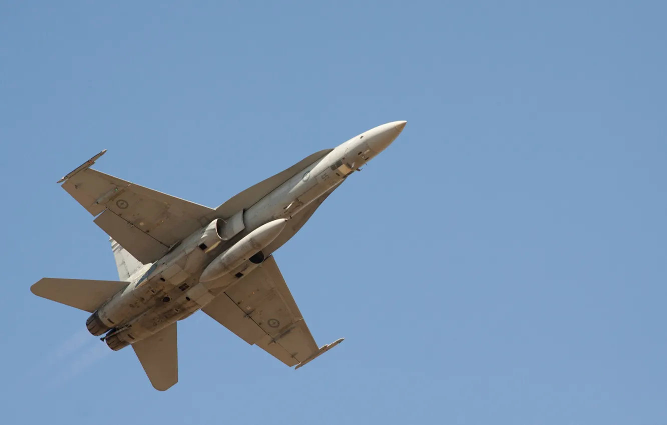 Фото обои McDonnel Douglas, F/A-18 Hornet, небо, самолёт