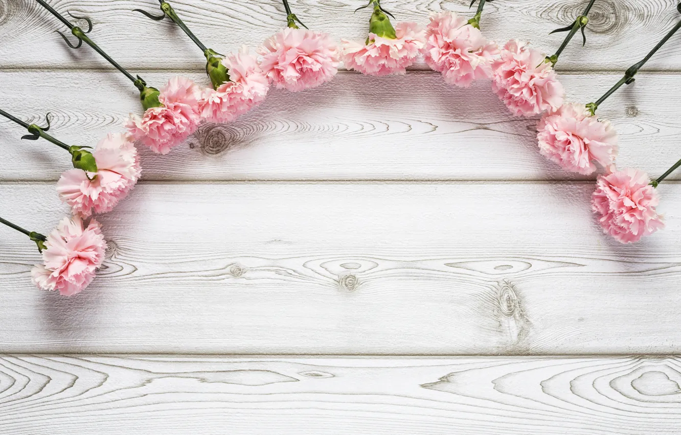 Фото обои цветы, розовые, wood, pink, flowers, гвоздики
