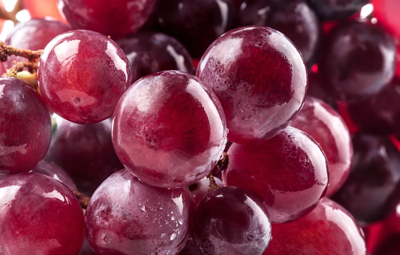 Фото обои макро, красный, ягоды, виноград, гроздь