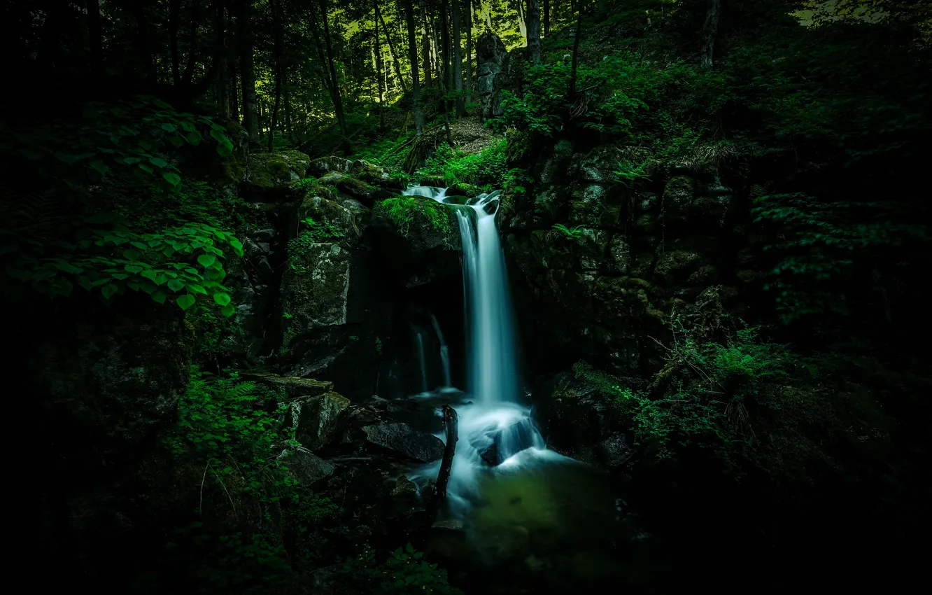 Фото обои лес, темный фон, камни, водопад