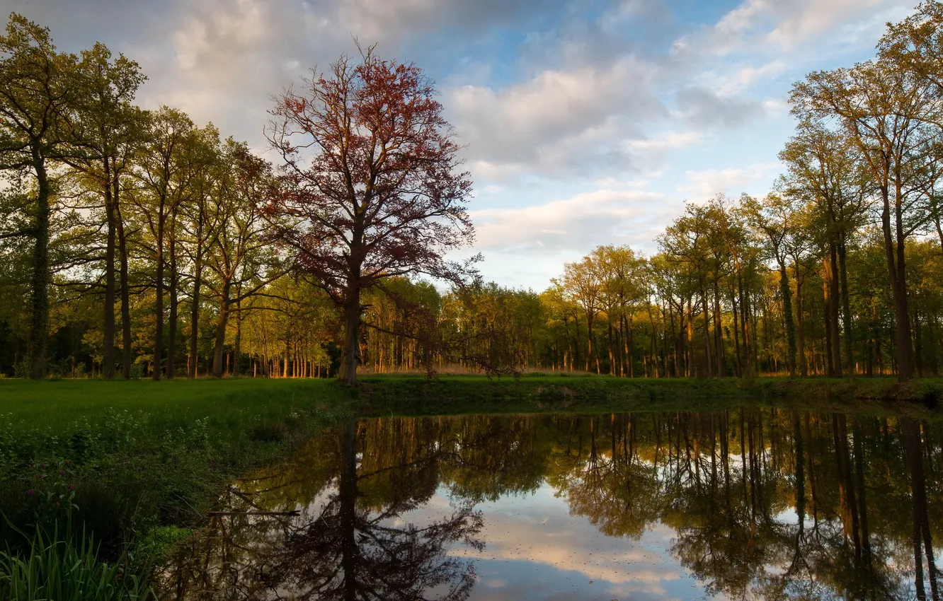 Фото обои пейзаж, парк, Castle Pond at De Slangenburg