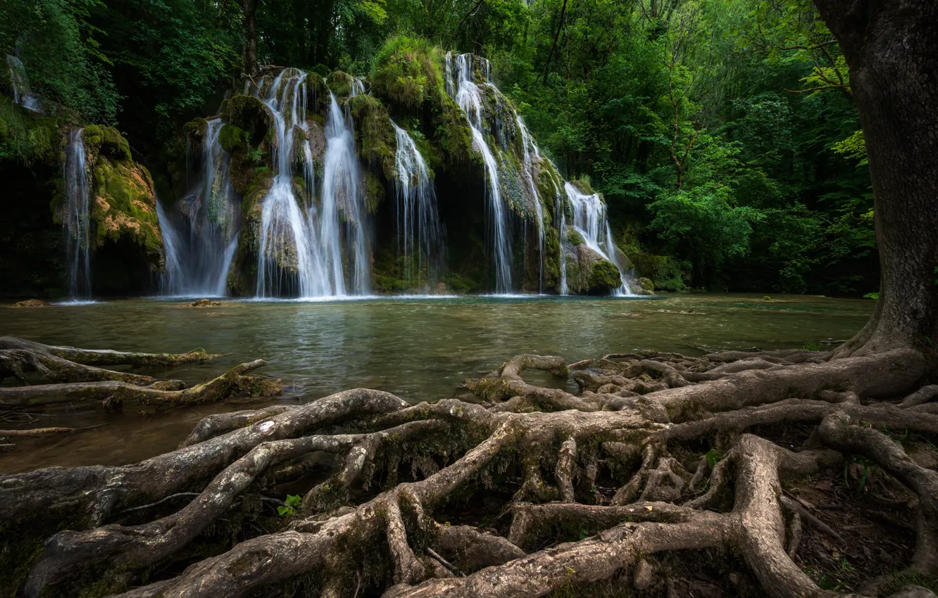 Фото обои корни, река, дерево, Франция, водопад, каскад, France, Cascade des Tufs