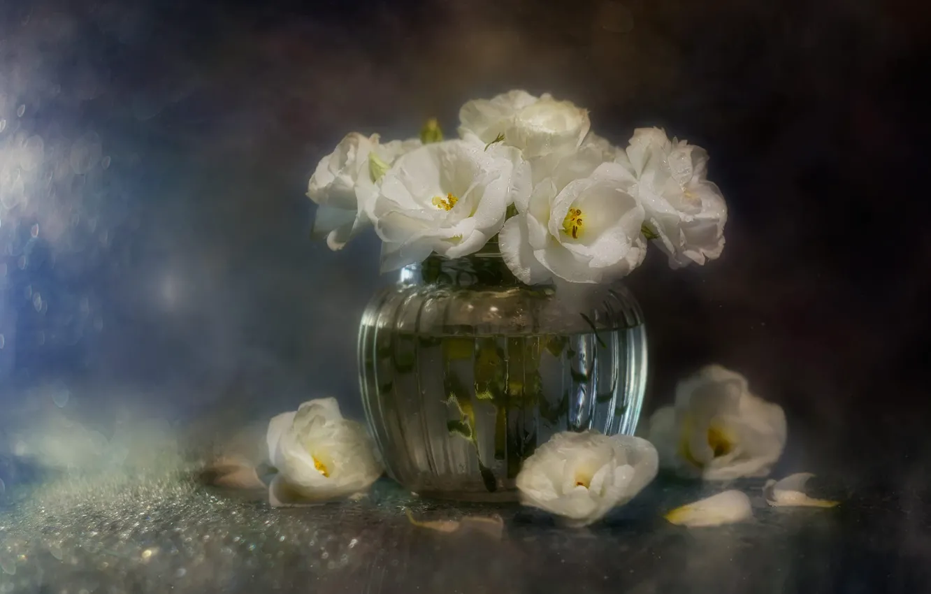 Фото обои цветы, букет, ваза, белые, эустома