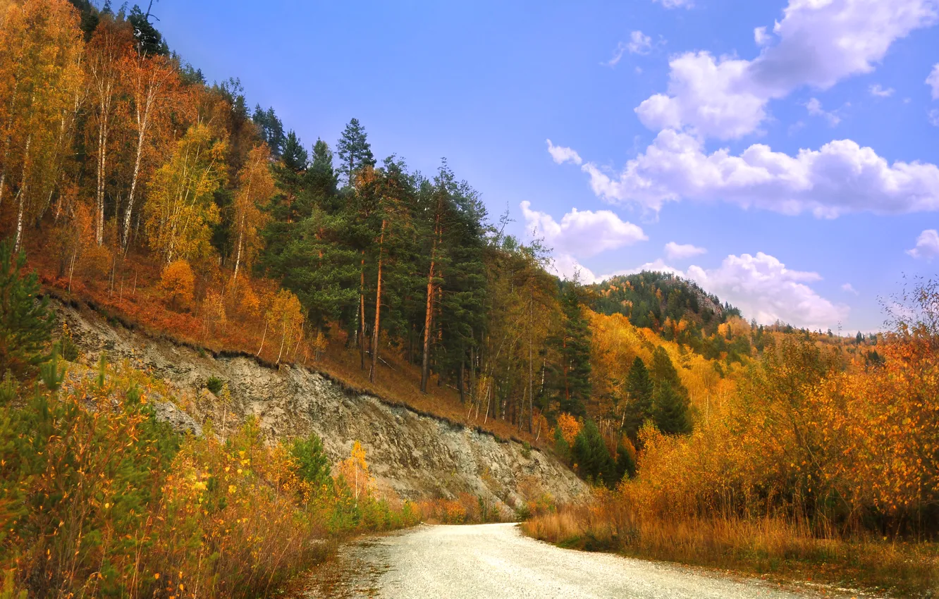 Фото обои дорога, небо, деревья, скалы, colors, Осень, road, sky