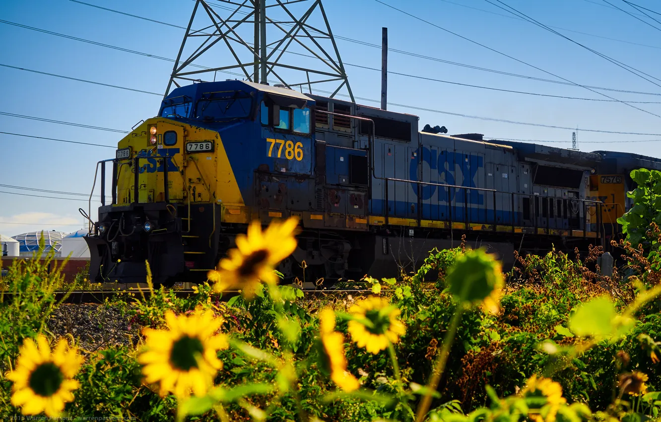 Фото обои подсолнухи, природа, рельсы, поезд, железная дорога, локомотив