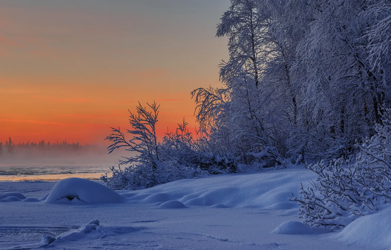 Фото обои зима, снег, деревья, природа, река, кусты, Умба, Заполярье