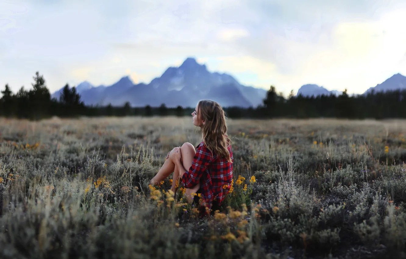 Фото обои поле, лето, девушка, горы, сидит