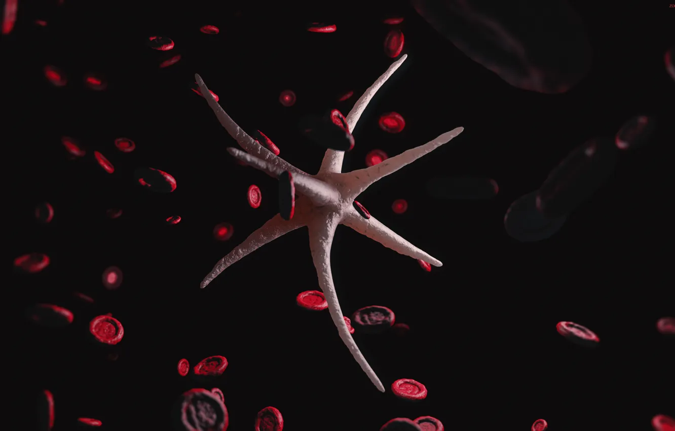 Фото обои кровь, вирус, лейкоциты