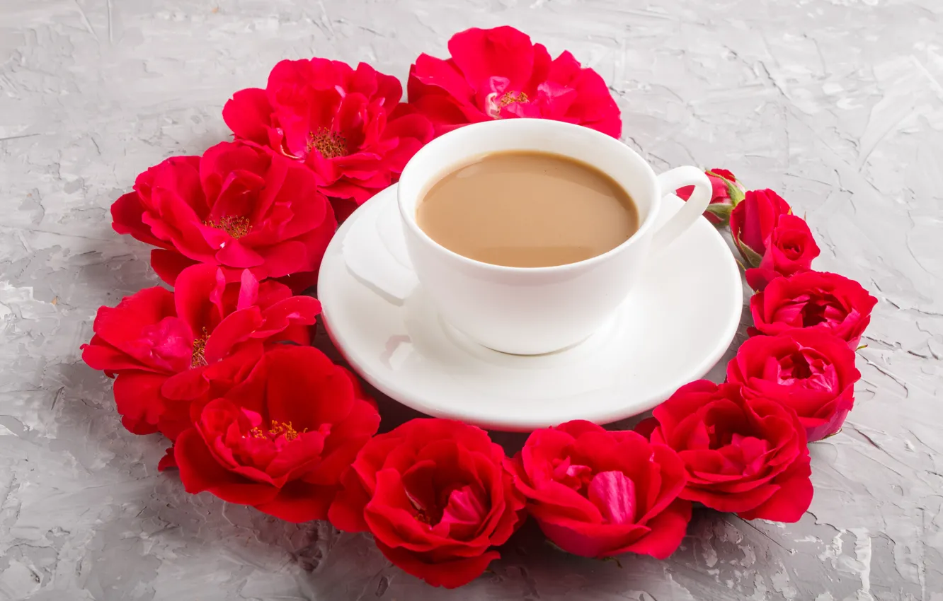 Фото обои розы, чашка, красные, бутоны