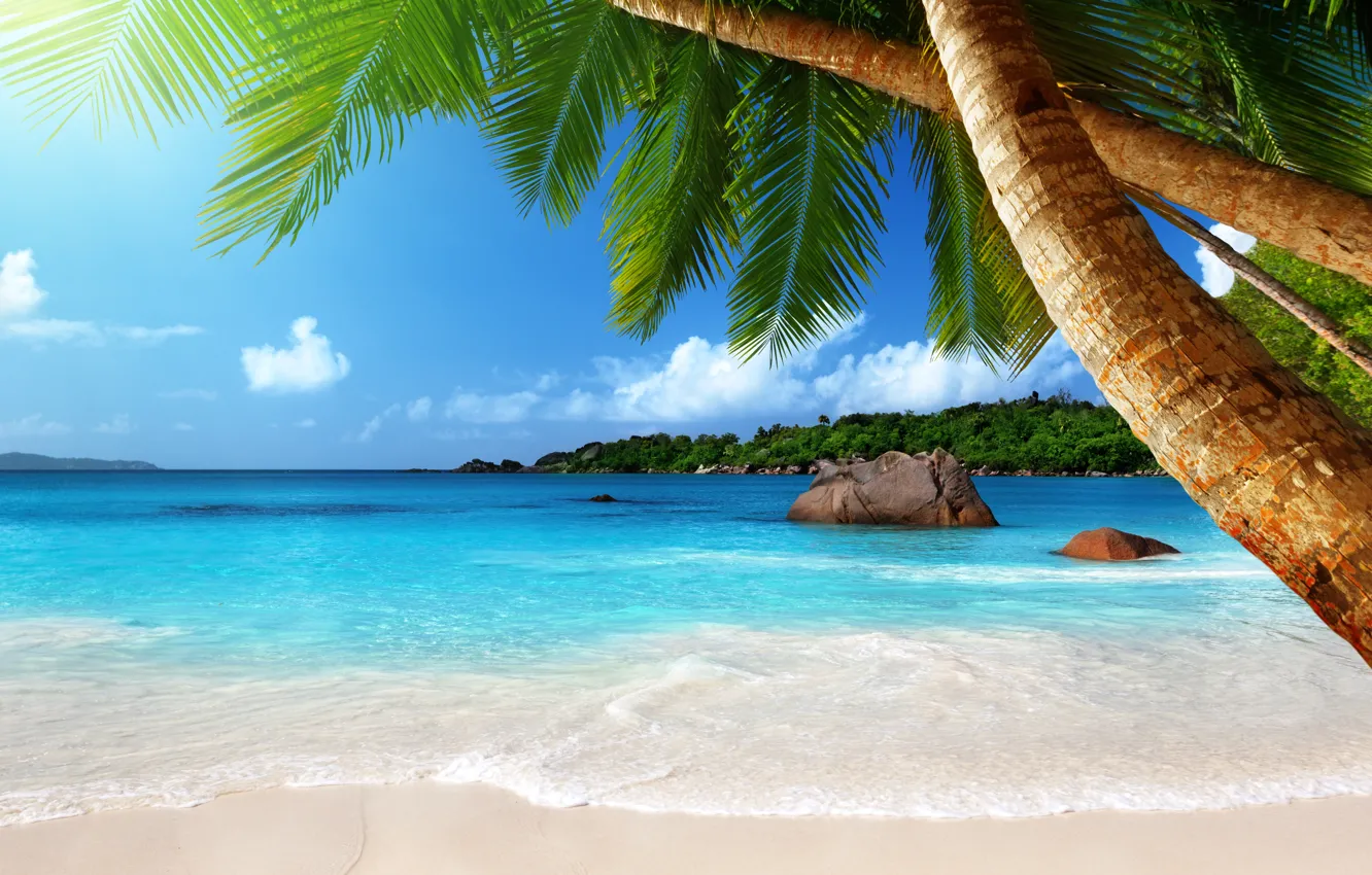Фото обои песок, море, пляж, солнце, тропики, пальмы, океан, берег