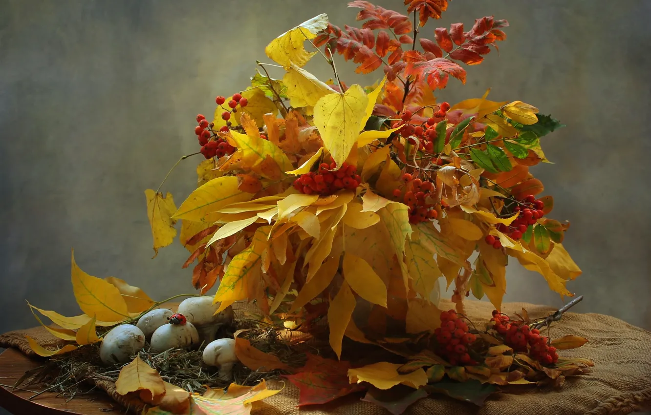 Фото обои осень, листья, грибы, букет, натюрморт, рябина, шампиньоны