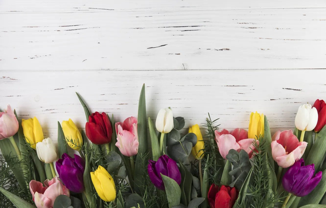 Фото обои цветы, colorful, тюльпаны, wood, flowers, beautiful, tulips, spring