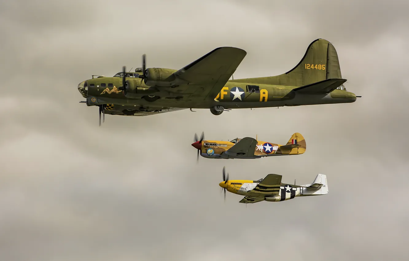 Фото обои полёт, бомбардировщик, B-17, P-51 Mustang, Curtiss P-40