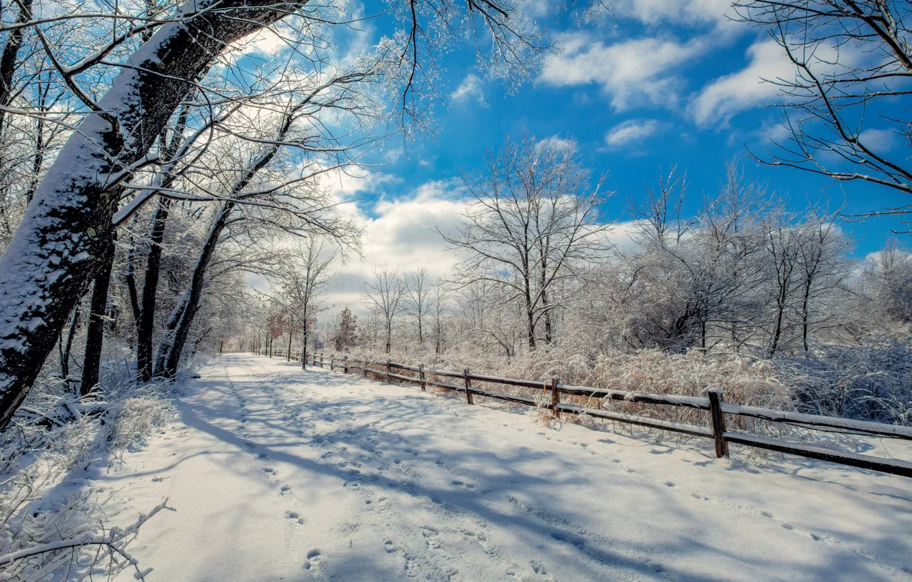 Фото обои зима, облака, деревья, забор