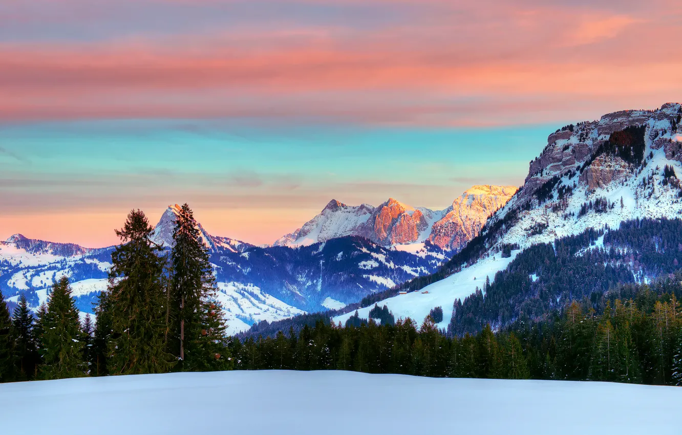 Фото обои зима, лес, небо, облака, снег, горы, Швейцария, Альпы