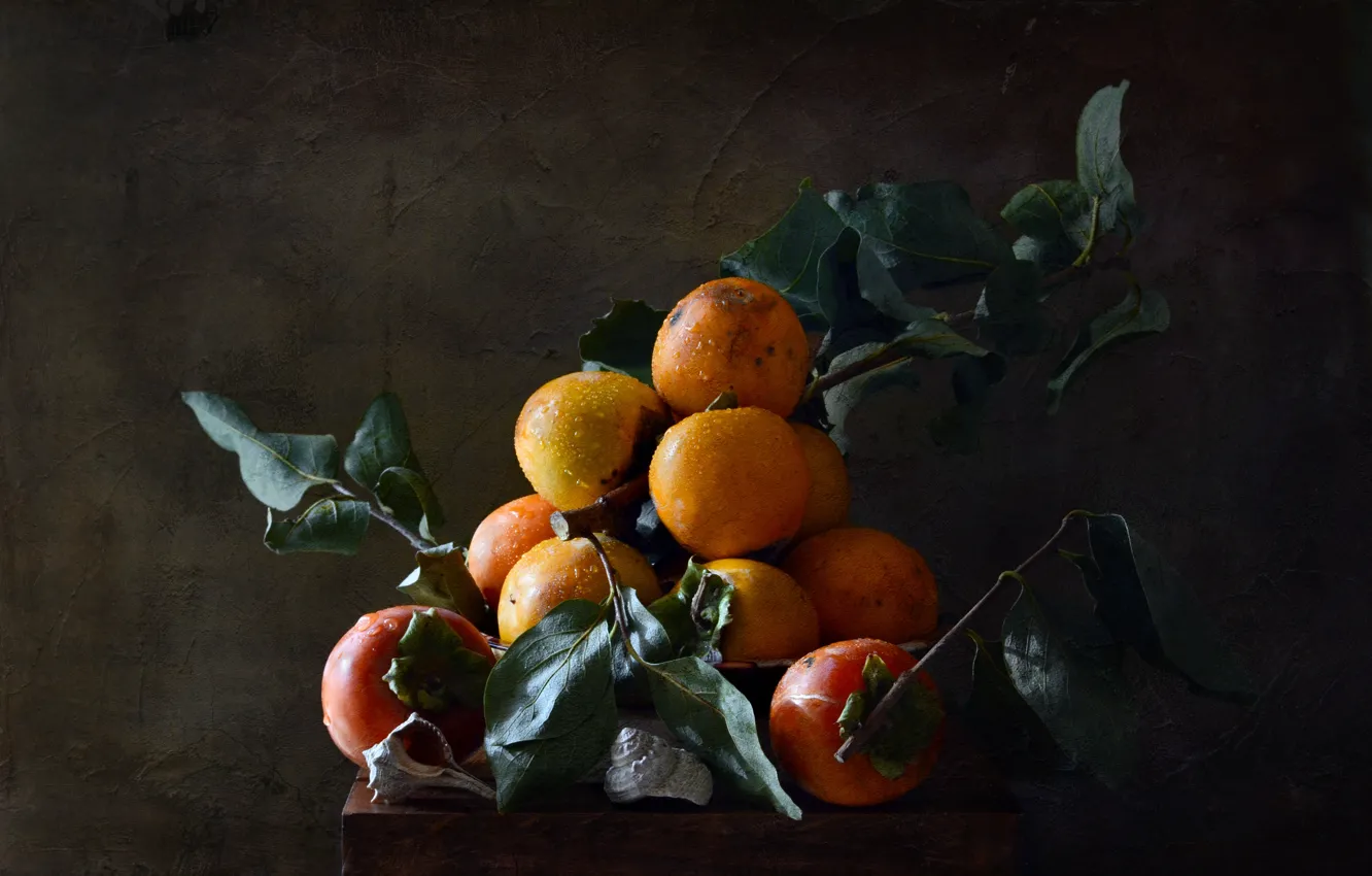 Фото обои листья, свет, ветки, темный фон, еда, текстура, тарелка, ракушки