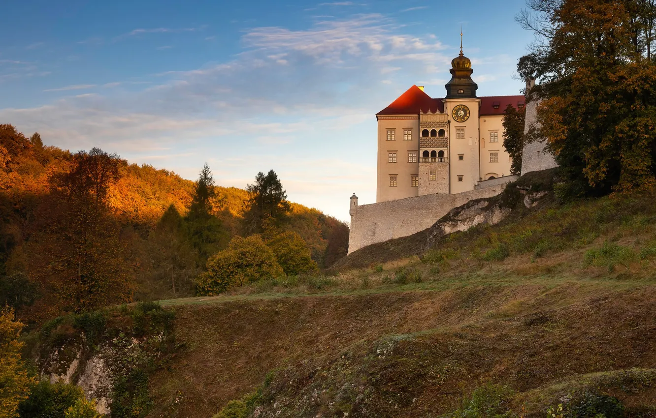 Фото обои лес, небо, деревья, замок, холмы