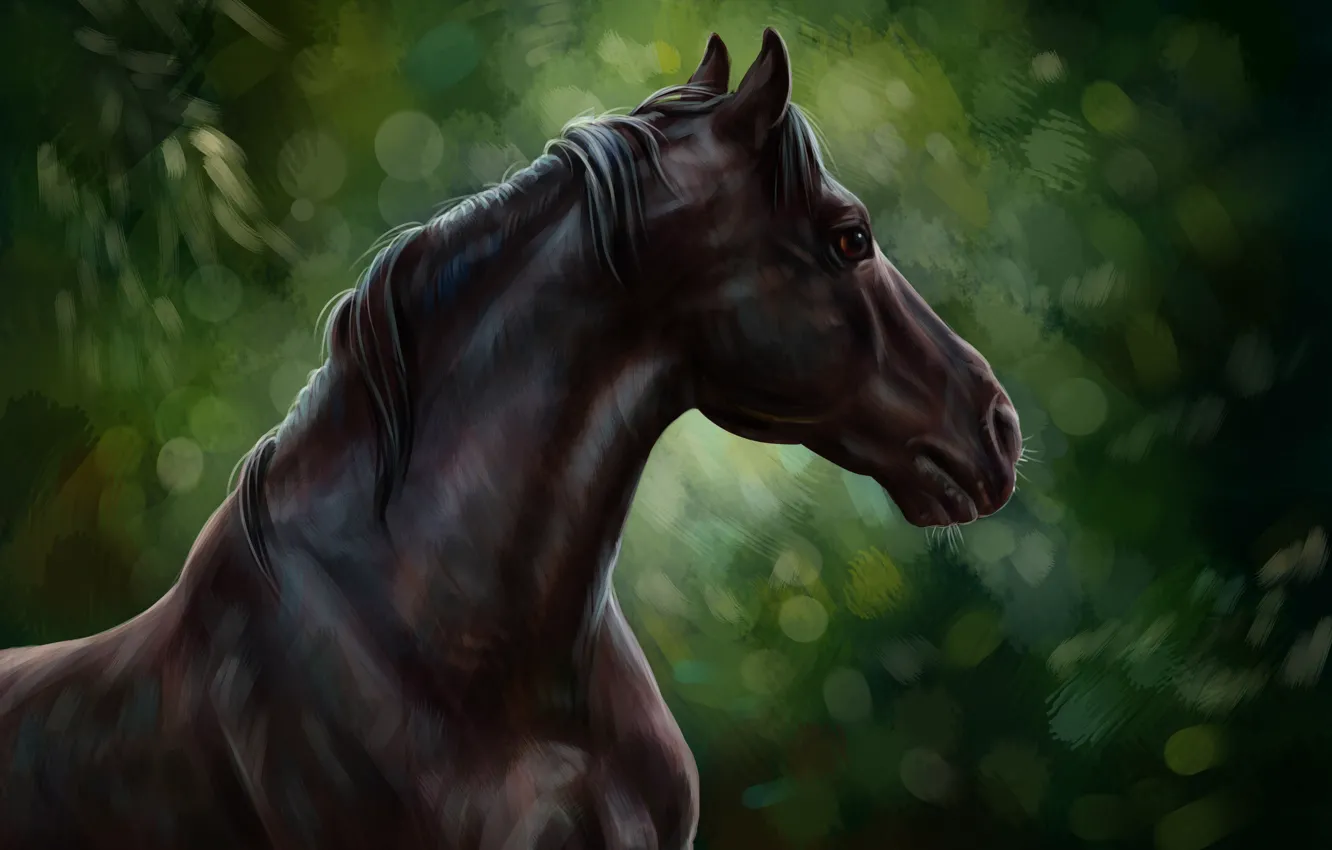 Фото обои лошадь, масло, арт, акварель, карандаш, живопись, horse, лошадка