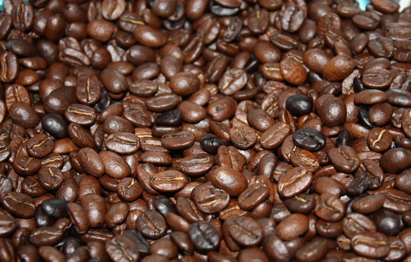 Фото обои brown, beans, coffee, roasted, caffeine