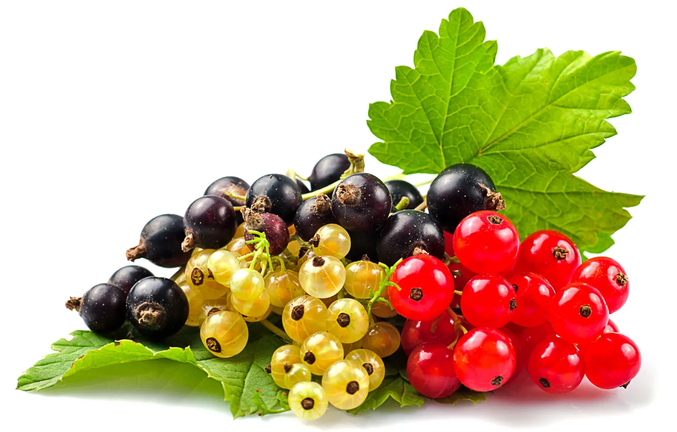 Фото обои ягоды, красная смородина, чёрная смородина, белая смородина