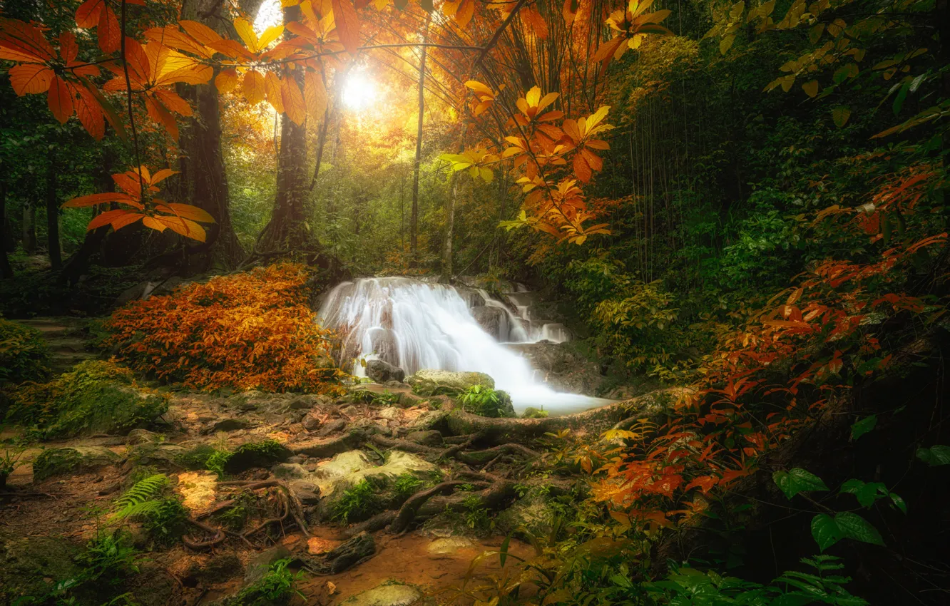 Фото обои лес, пейзаж, река, скалы, водопад, summer, forest, river