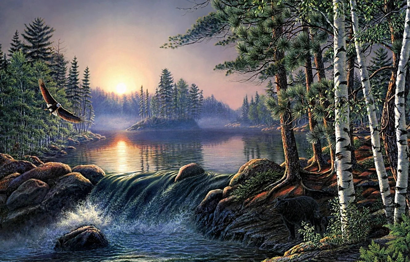 Фото обои лес, природа, река