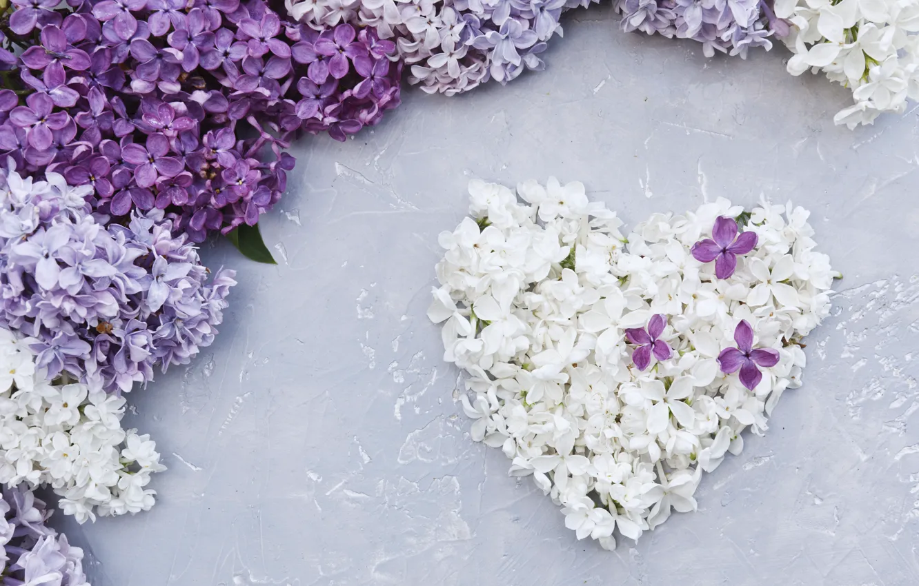 Фото обои цветы, сердце, love, white, heart, flowers, сирень, romantic