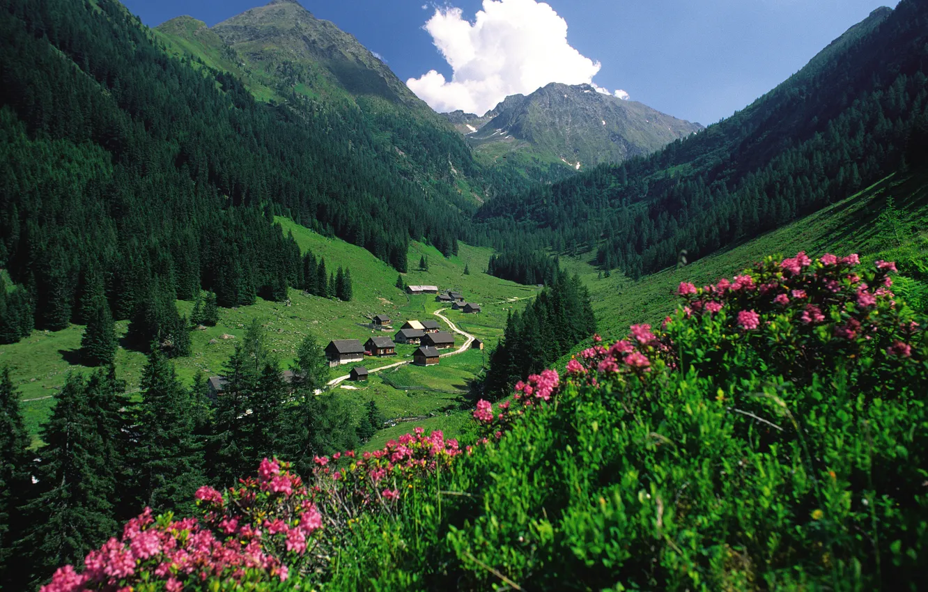 Фото обои Цветы, Небо, Природа, Дома, Горы, Деревья, Австрия, Nature