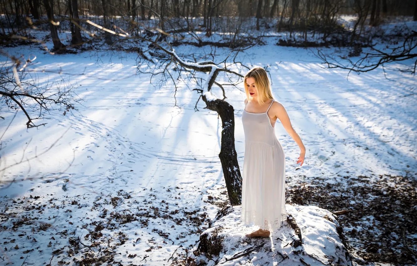 Фото обои холод, зима, девушка, снег, природа, настроение, Sarah