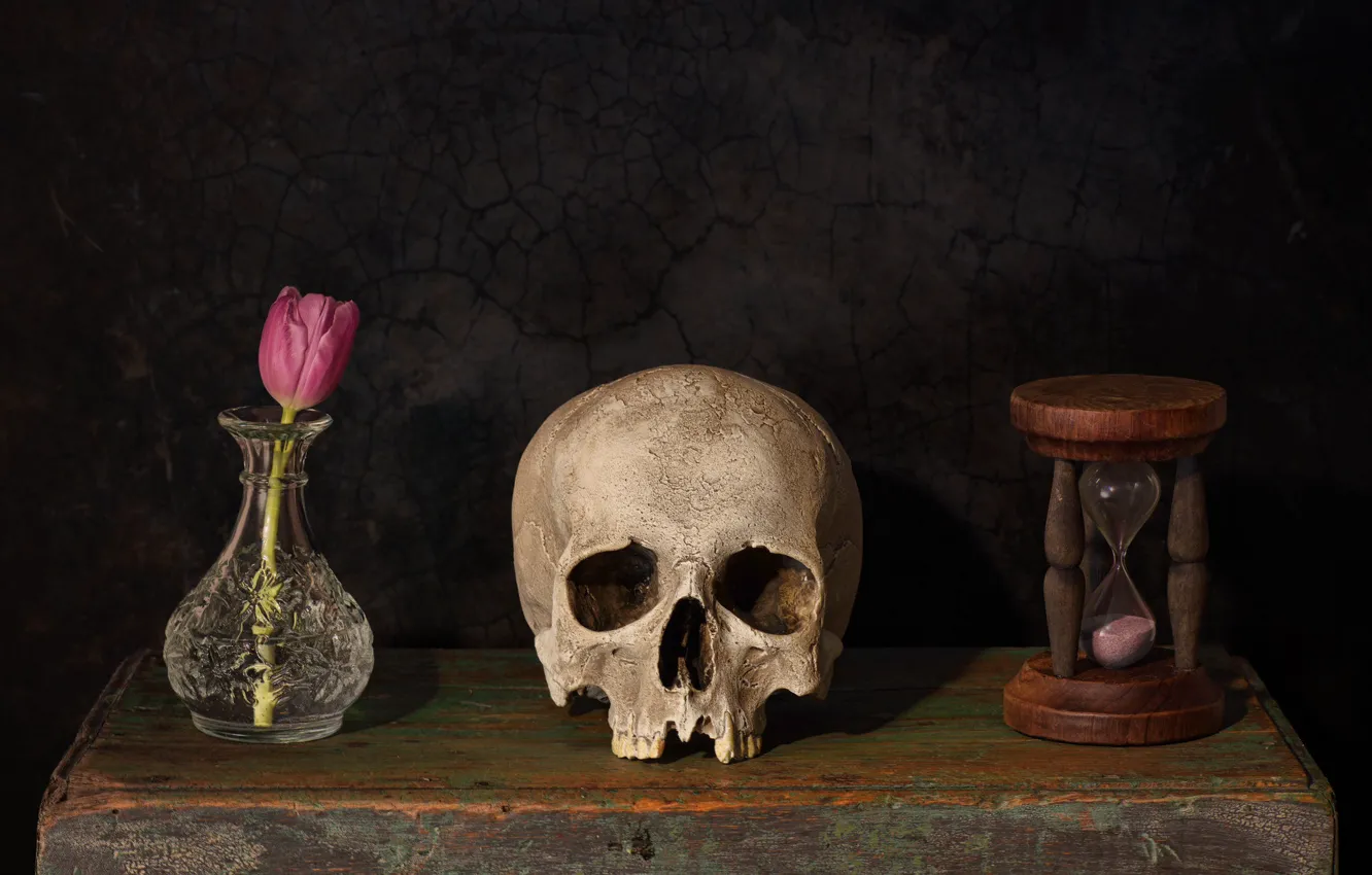 Фото обои цветок, стиль, темный фон, череп, тюльпан, натюрморт, ящик, предметы