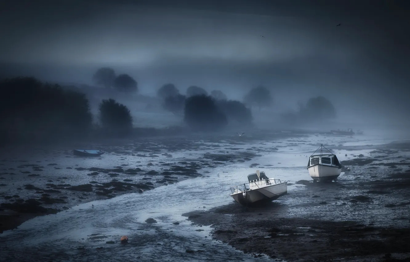 Фото обои ночь, туман, река, лодки
