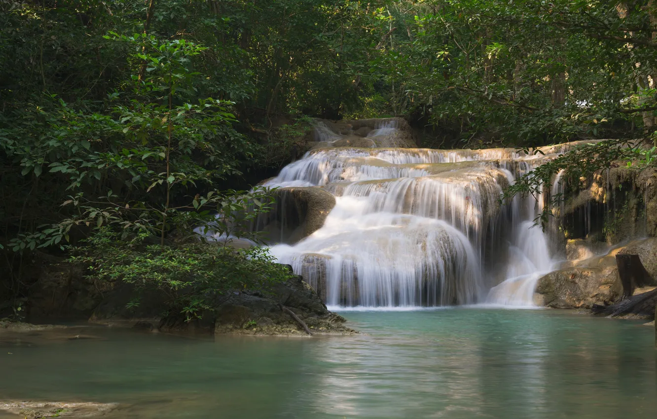 Фото обои вода, деревья, природа, камни, водоем