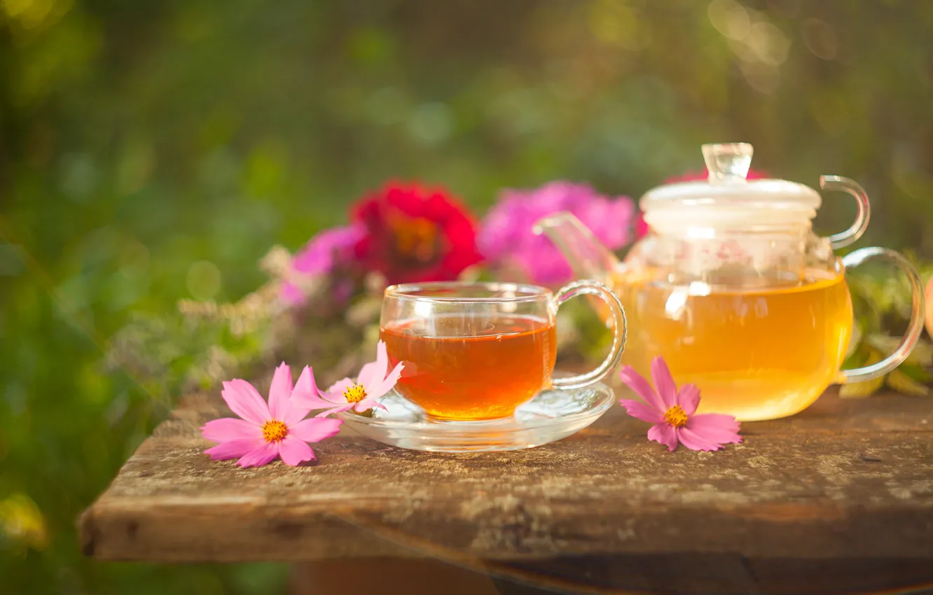Фото обои цветы, чай, чайник, напиток, космея