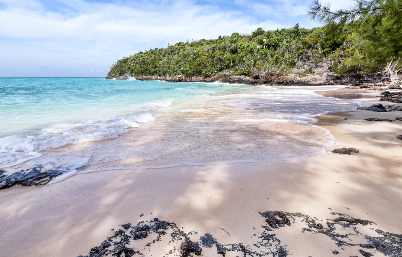 Фото обои песок, море, природа, заросли, берег, The Bahamas, North Cat Island