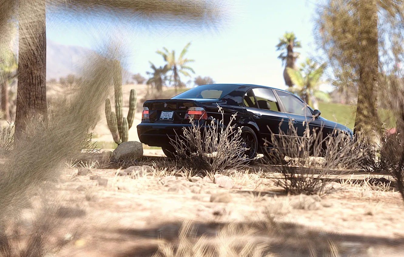 Фото обои HDR, BMW, Game, e39, Trees, Desert, Plants, 5er