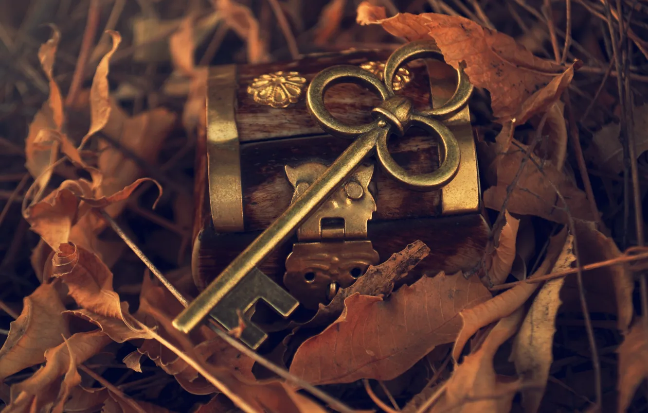 Фото обои осень, листья, металл, ключ, шкатулка, опавшие