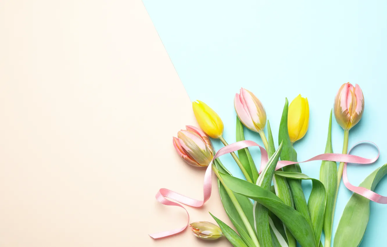 Фото обои цветы, букет, тюльпаны, yellow, pink, flowers, tulips, spring
